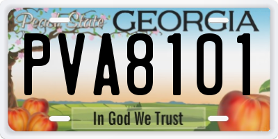 GA license plate PVA8101