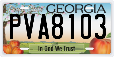GA license plate PVA8103