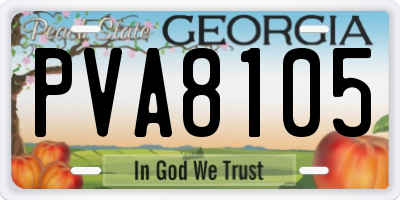 GA license plate PVA8105