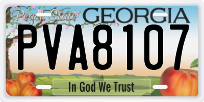GA license plate PVA8107