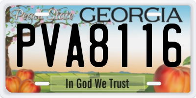 GA license plate PVA8116