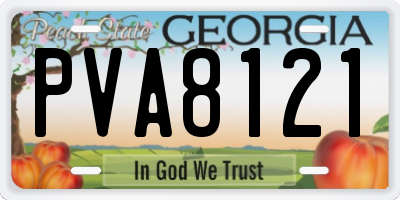 GA license plate PVA8121
