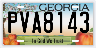 GA license plate PVA8143