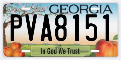 GA license plate PVA8151