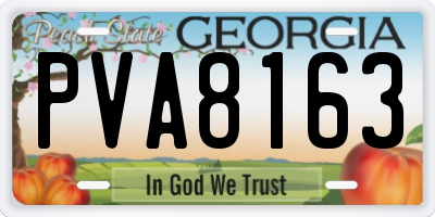GA license plate PVA8163