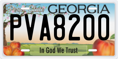 GA license plate PVA8200