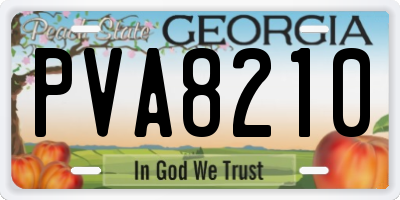GA license plate PVA8210