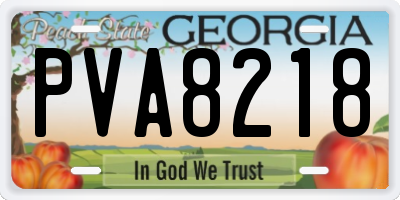 GA license plate PVA8218