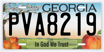 GA license plate PVA8219