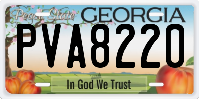 GA license plate PVA8220