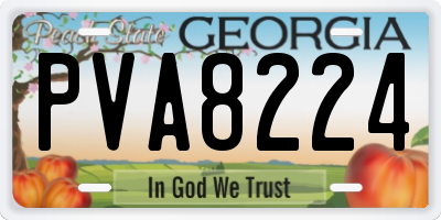 GA license plate PVA8224