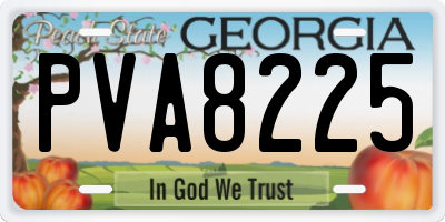 GA license plate PVA8225