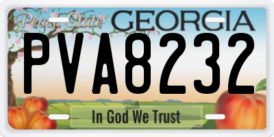 GA license plate PVA8232
