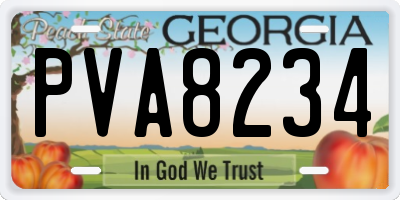 GA license plate PVA8234