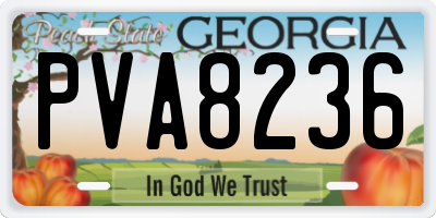 GA license plate PVA8236