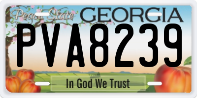 GA license plate PVA8239