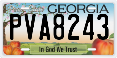 GA license plate PVA8243