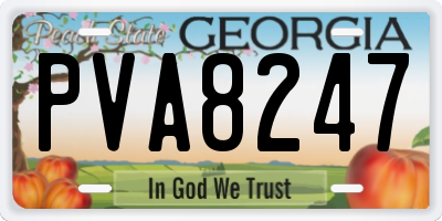 GA license plate PVA8247