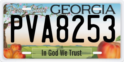 GA license plate PVA8253