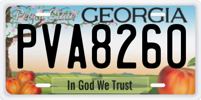 GA license plate PVA8260