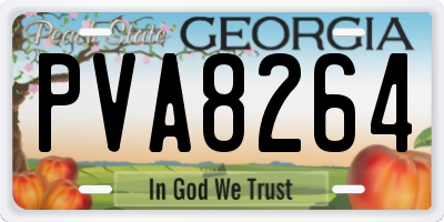 GA license plate PVA8264