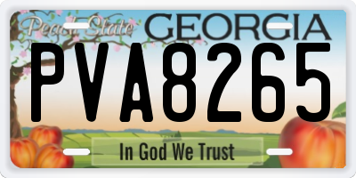 GA license plate PVA8265