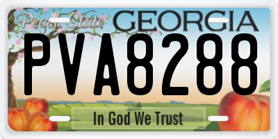 GA license plate PVA8288