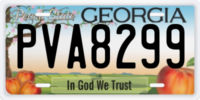 GA license plate PVA8299