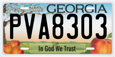 GA license plate PVA8303