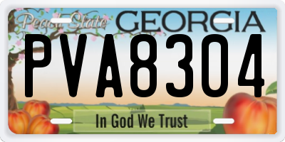 GA license plate PVA8304