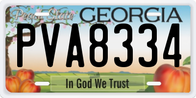 GA license plate PVA8334
