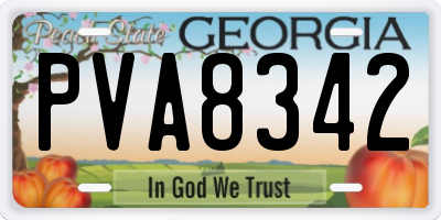 GA license plate PVA8342