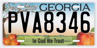 GA license plate PVA8346