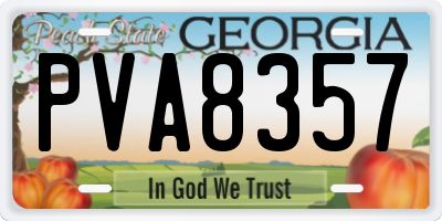 GA license plate PVA8357