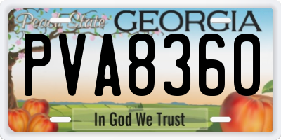 GA license plate PVA8360