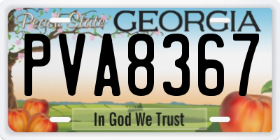 GA license plate PVA8367