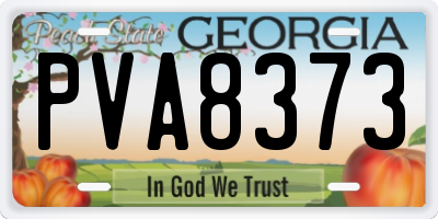 GA license plate PVA8373