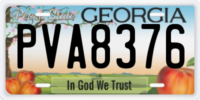 GA license plate PVA8376