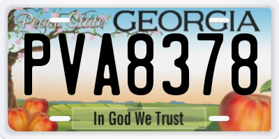 GA license plate PVA8378