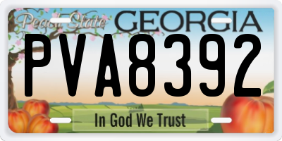 GA license plate PVA8392