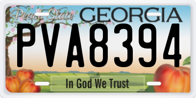 GA license plate PVA8394