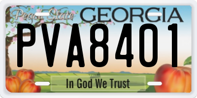 GA license plate PVA8401
