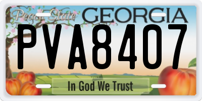 GA license plate PVA8407