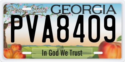 GA license plate PVA8409