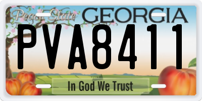 GA license plate PVA8411