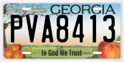 GA license plate PVA8413