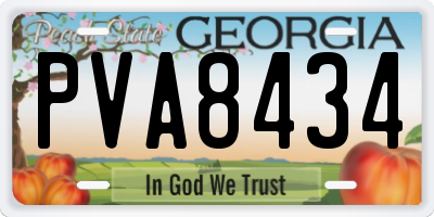 GA license plate PVA8434