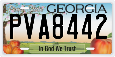GA license plate PVA8442