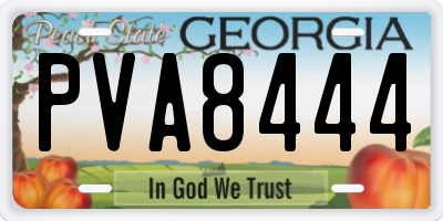 GA license plate PVA8444