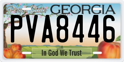GA license plate PVA8446